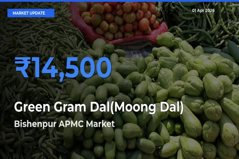 Top Performer! Bishenpur APMC Offers Best Green Gram Dal(Moong Dal) Price Today