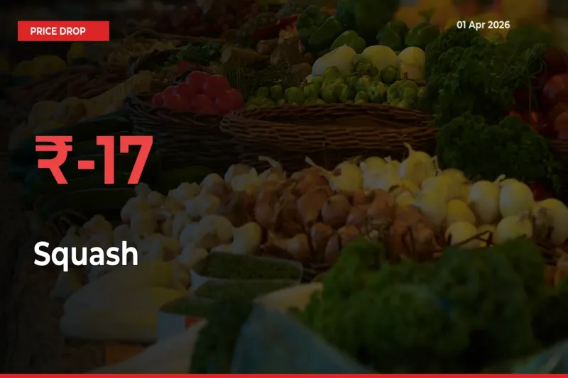 17.45% Drop in Squash Prices – Mandi Sees Sudden Fall