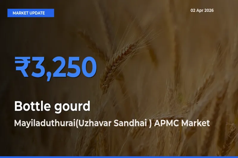 Mayiladuthurai(Uzhavar Sandhai ) APMC Records Highest ₹3,250 Rate for Bottle gourd