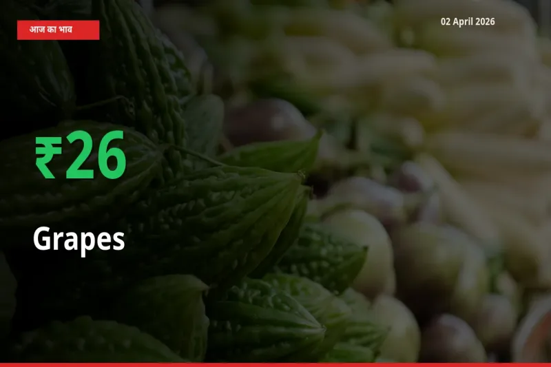 बाज़ार संकेत: अंगूर के भाव मंडी में 25.89% ऊपर