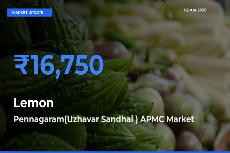 Pennagaram(Uzhavar Sandhai ) APMC Tops Lemon Mandi Rates Today