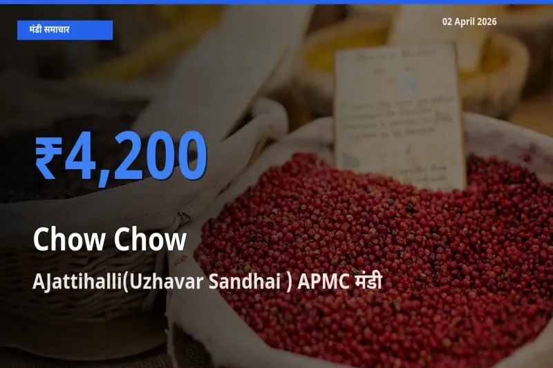 02 April अपडेट: चाउ चाउ के सबसे ऊँचे दाम AJattihalli(Uzhavar Sandhai ) APMC मंडी में