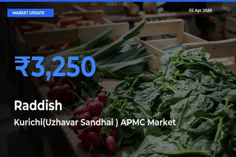 Market Watch: Kurichi(Uzhavar Sandhai ) APMC Becomes Top Mandi for Raddish