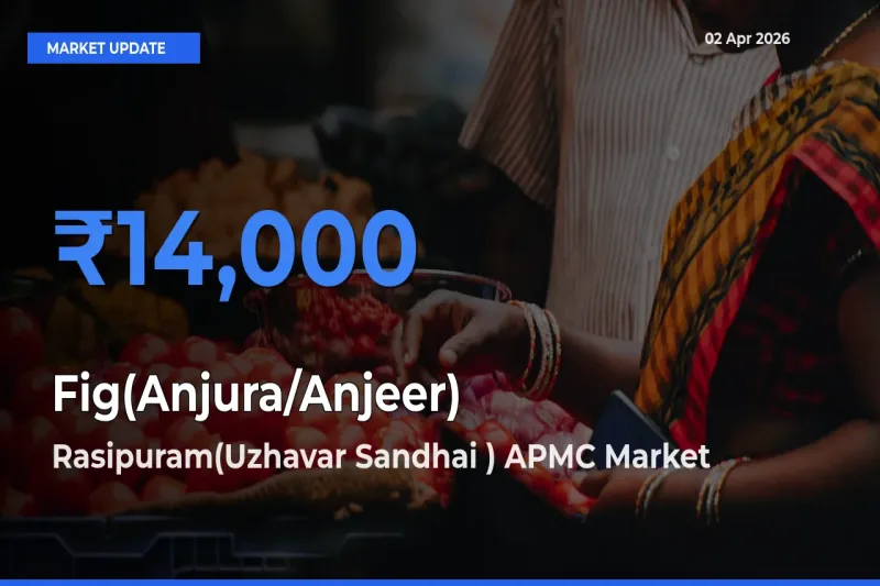 Rasipuram(Uzhavar Sandhai ) APMC Leads as Top Mandi for Fig(Anjura/Anjeer) Prices
