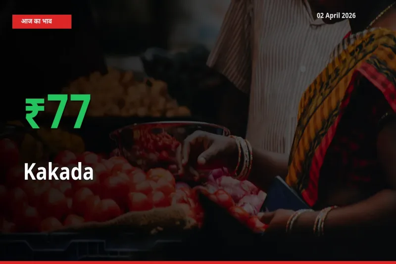 बाज़ार संकेत: काकड़ा के भाव मंडी में 76.85% ऊपर