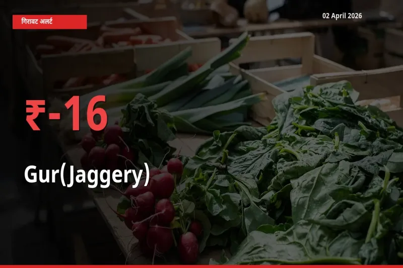 स्थानीय मंडी में गुड़ के दाम अचानक 16.1% गिरे, किसानों की चिंता बढ़ी