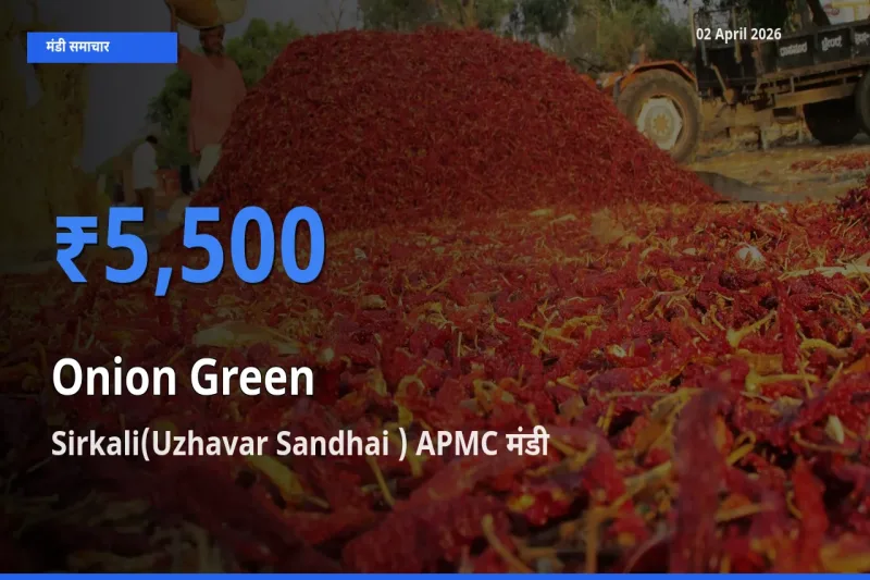 02 April अपडेट: प्याज हरा के सबसे ऊँचे दाम Sirkali(Uzhavar Sandhai ) APMC मंडी में