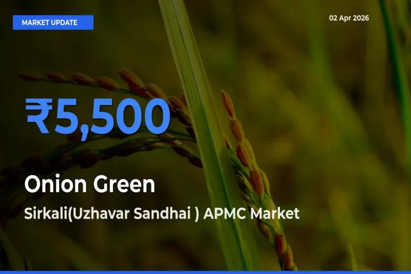 Sirkali(Uzhavar Sandhai ) APMC Tops Onion Green Mandi Rates Today