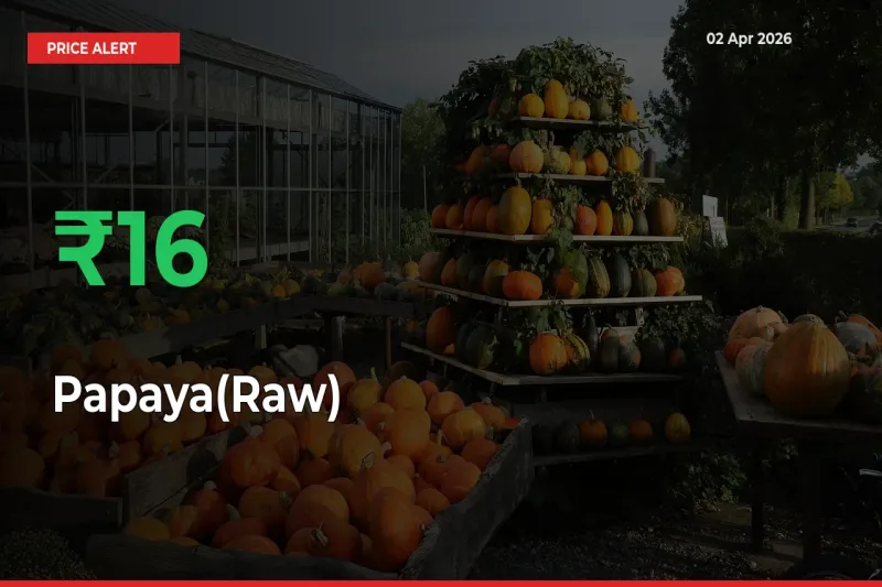 Papaya(Raw) Mandi Rate Today: Prices Jump 15.62% at Market