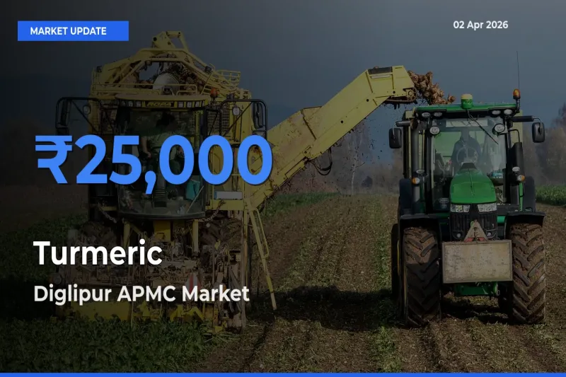 Diglipur APMC Records Highest ₹25,000 Rate for Turmeric