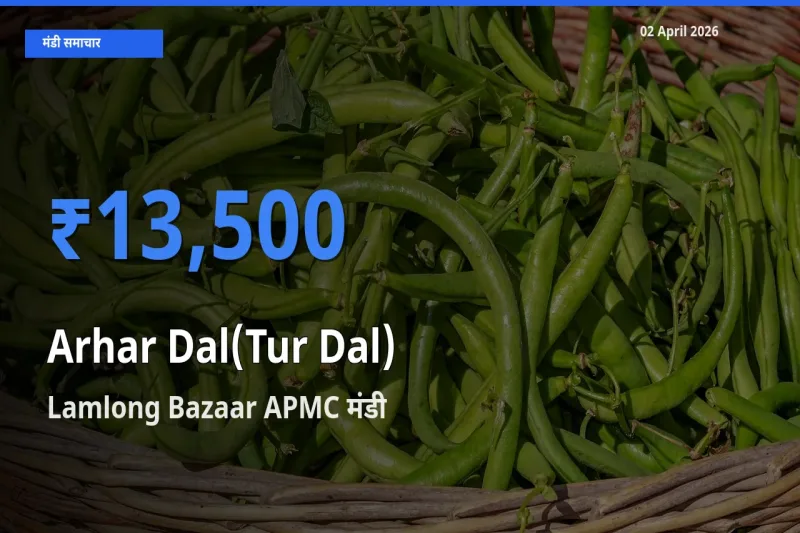 किसानों की पसंद बना Lamlong Bazaar APMC, अरहर दाल के सबसे अच्छे दाम