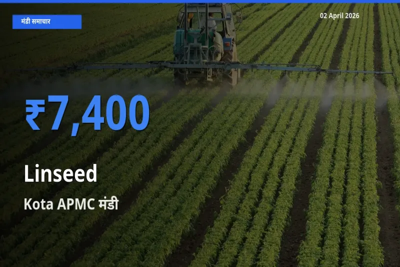 02 April अपडेट: अलसी के सबसे ऊँचे दाम Kota APMC मंडी में