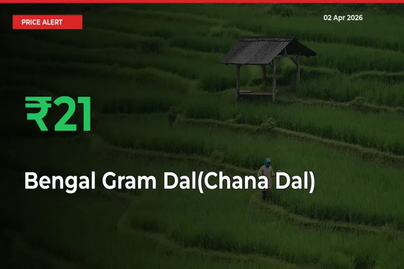 Bengal Gram Dal(Chana Dal) Rises 21.42% at Mandis
