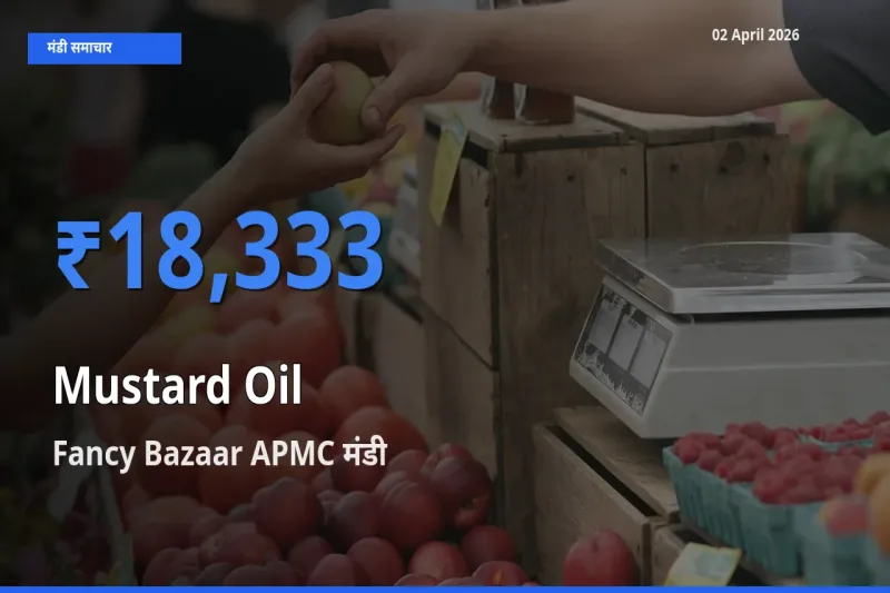 02 April अपडेट: सरसों का तेल के सबसे ऊँचे दाम Fancy Bazaar APMC मंडी में