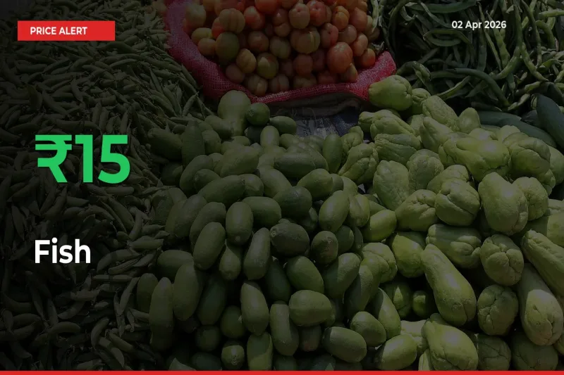 Fish Prices Rise 15.12% in a Day at Major Mandis