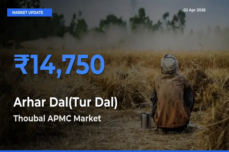 Farmers Prefer Thoubal APMC as Arhar Dal(Tur Dal) Hits Highest Rate