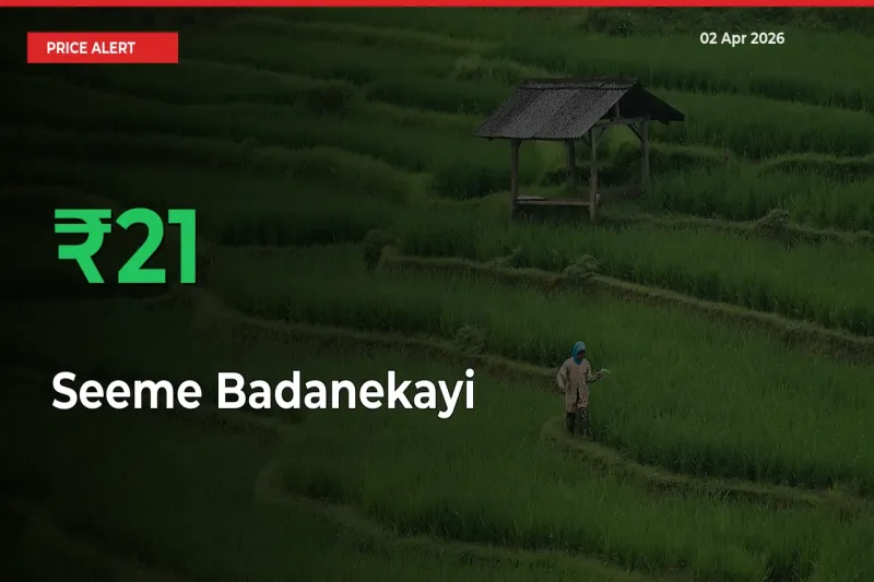 Seeme Badanekayi Rises 21.13% at Mandis