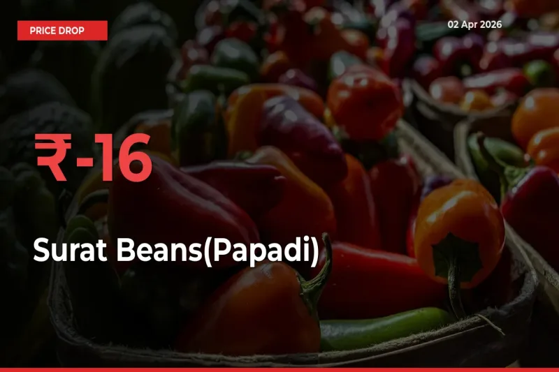 Sudden Shock! Surat Beans(Papadi) Drops 15.62% in 24 Hours at Top Mandis