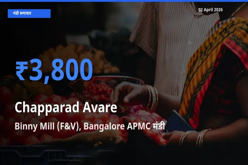 02 April अपडेट: चप्परद अवरे के सबसे ऊँचे दाम Binny Mill (F&V), Bangalore APMC मंडी में