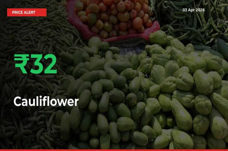 31.55% Spike in Cauliflower Prices – Mandi Sees Sudden Rally