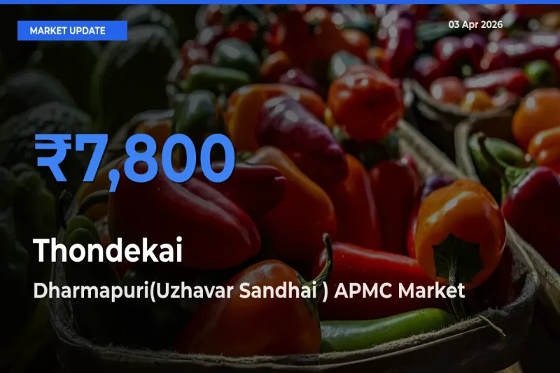 Farmers Prefer Dharmapuri(Uzhavar Sandhai ) APMC as Thondekai Hits Highest Rate