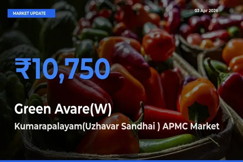 Farmers Prefer Kumarapalayam(Uzhavar Sandhai ) APMC as Green Avare(W) Hits Highest Rate