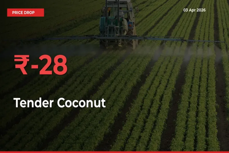 Tender Coconut Mandi Rate Today: Prices Fall 28.32% at Market