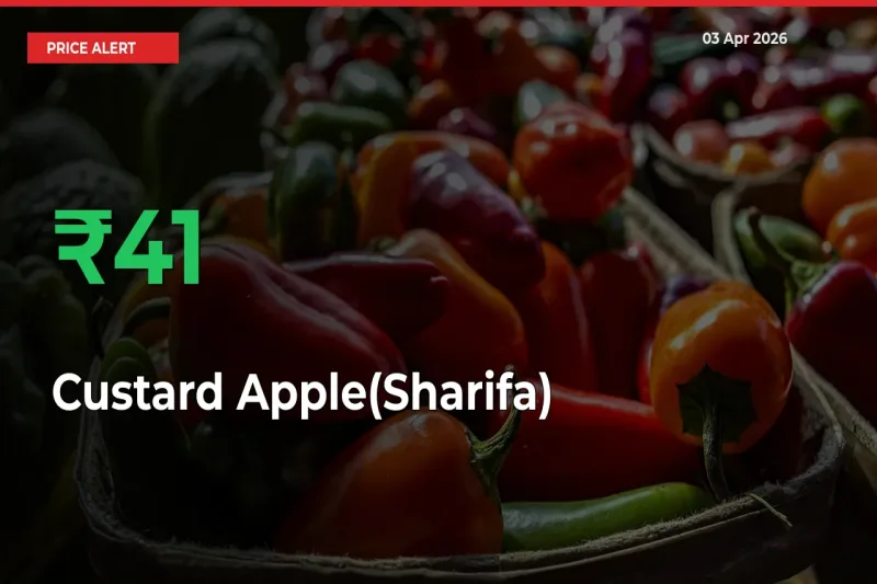 Sudden 41.38% Rally in Custard Apple(Sharifa) Prices Across Mandis