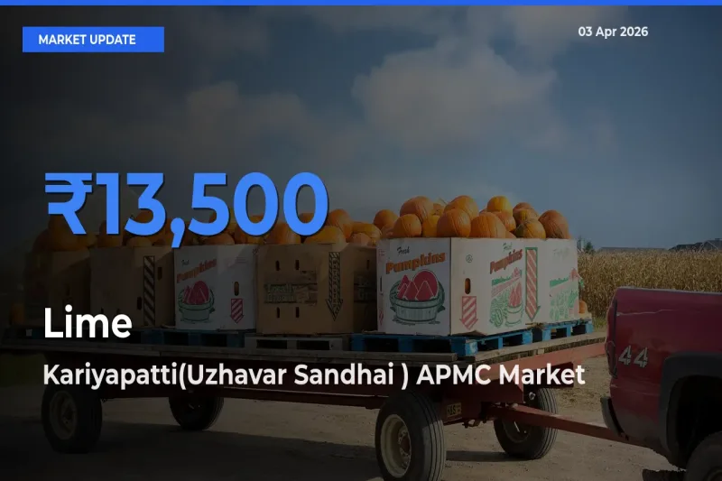 Kariyapatti(Uzhavar Sandhai ) APMC Tops Lime Rates – April 03 Market Update