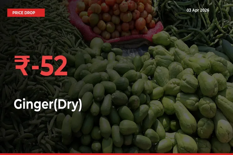 Ginger(Dry) Falls 51.73% at Mandis