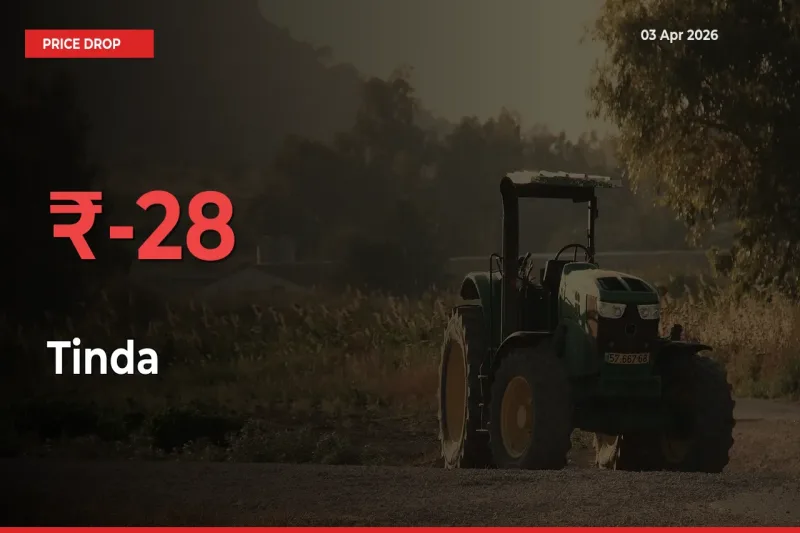 Why Tinda Prices Fell 27.82% in a Day at Mandis