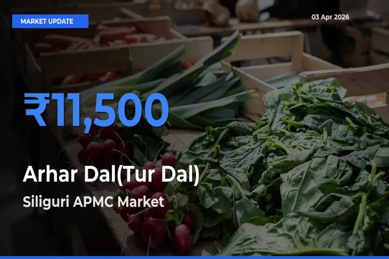 Farmers Prefer Siliguri APMC as Arhar Dal(Tur Dal) Hits Highest Rate