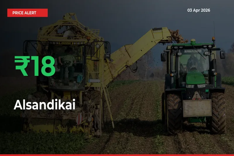 This Mandi Records 17.86% Jump in Alsandikai Prices