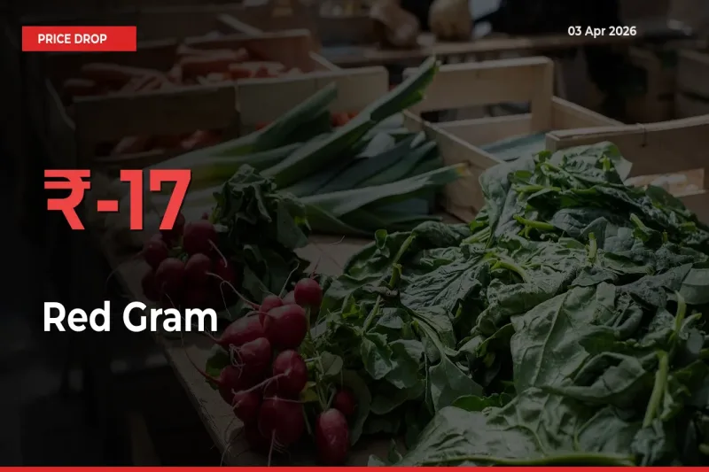 Why Red Gram Prices Fell 16.76% in a Day at Mandis