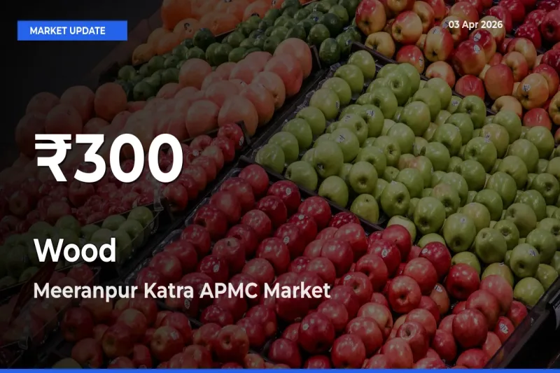 Wood Falls to ₹300 in Meeranpur Katra APMC – 30-Day Lowest Rate