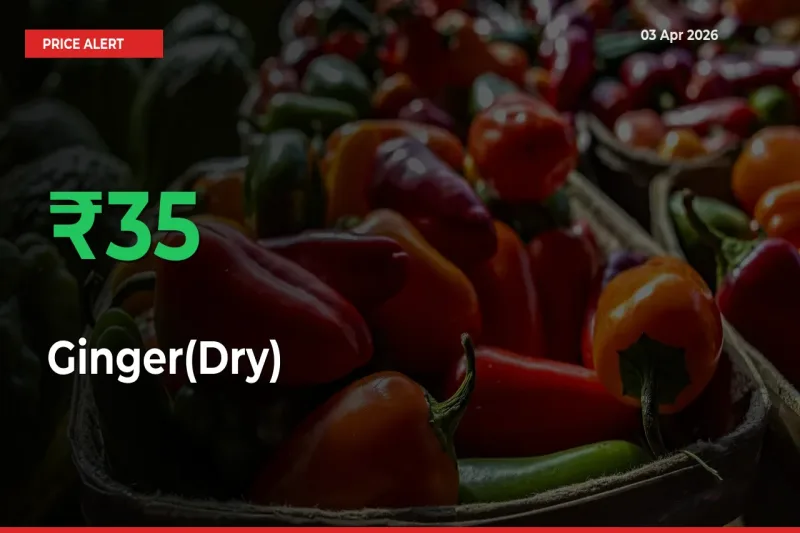 Farmers Cheer as Ginger(Dry) Prices Surge 35.43% in Local Mandis