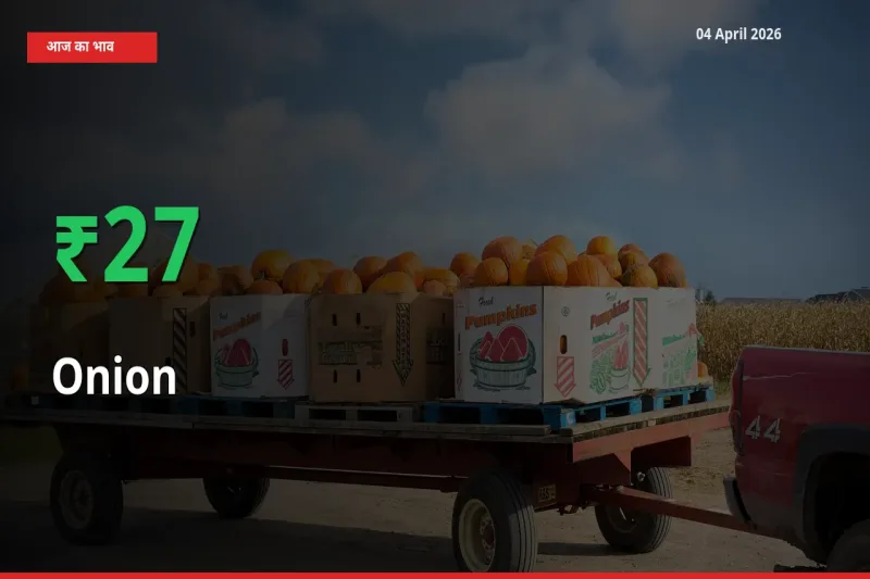 आज का मंडी भाव: प्याज के दाम मंडी में 26.94% ऊपर