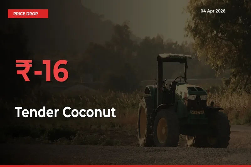 16.02% Drop in Tender Coconut Prices – Mandi Sees Sudden Fall