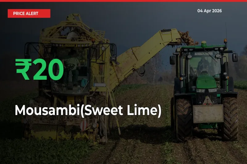 Farmers Cheer as Mousambi(Sweet Lime) Prices Surge 20.33% in Local Mandis