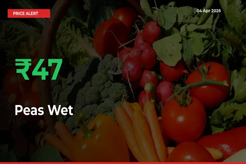 Farmers Cheer as Peas Wet Prices Surge 46.77% in Local Mandis