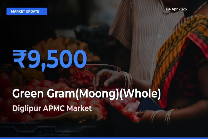 Diglipur APMC Offers ₹9,500 – Highest Green Gram(Moong)(Whole) Rate Today