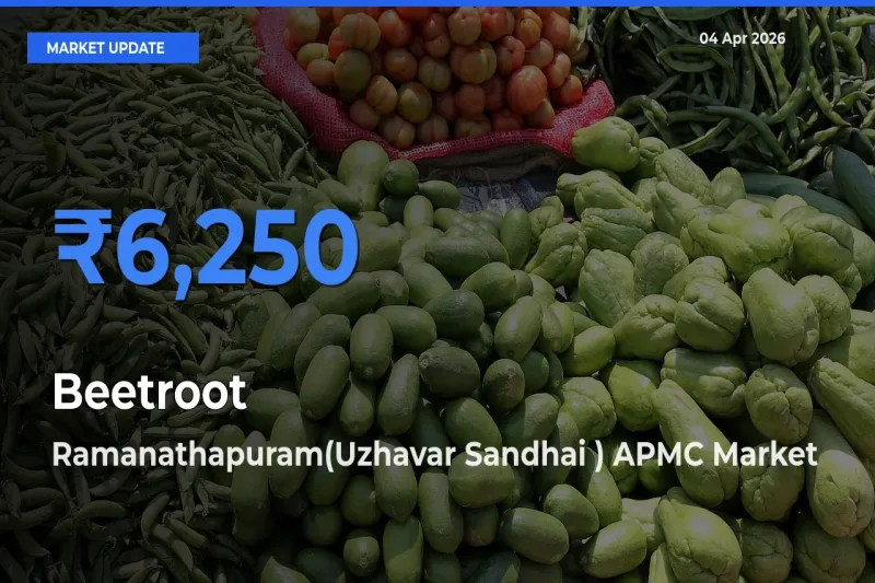 Ramanathapuram(Uzhavar Sandhai ) APMC Tops Beetroot Mandi Rates Today