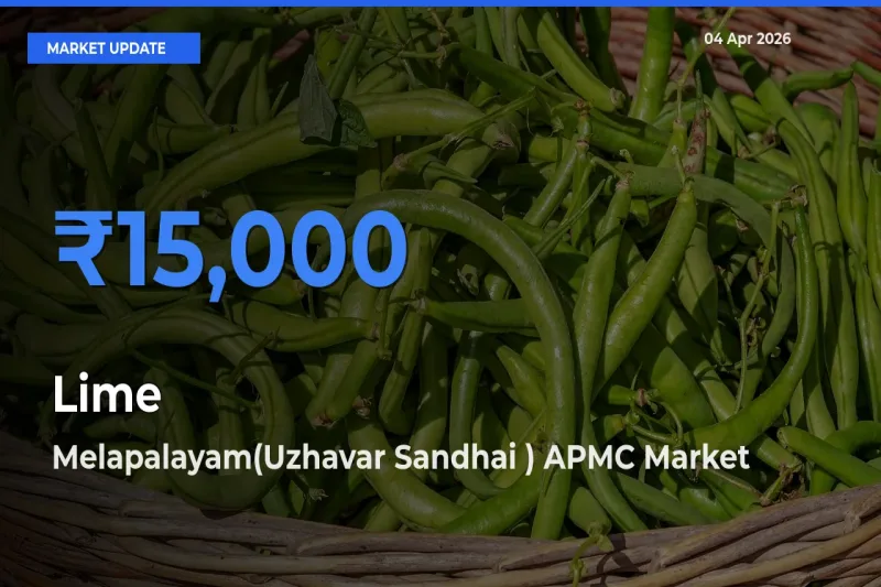Market Watch: Melapalayam(Uzhavar Sandhai ) APMC Becomes Top Mandi for Lime