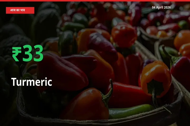 04 April अपडेट: हल्दी के दाम मंडी में 32.5% उछले