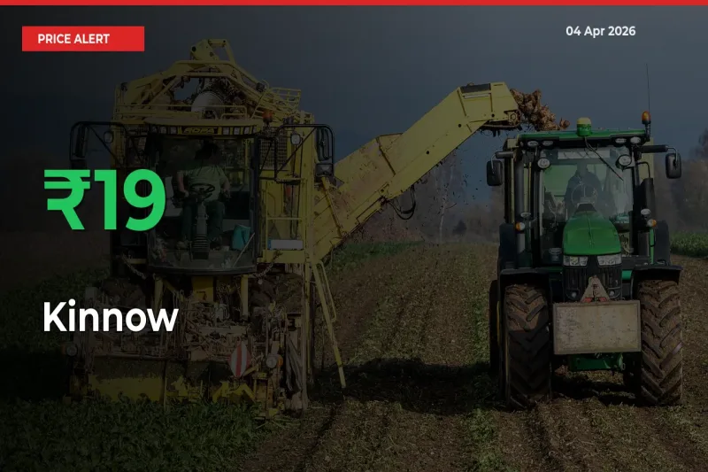 Sudden 19.2% Rally in Kinnow Prices Across Mandis