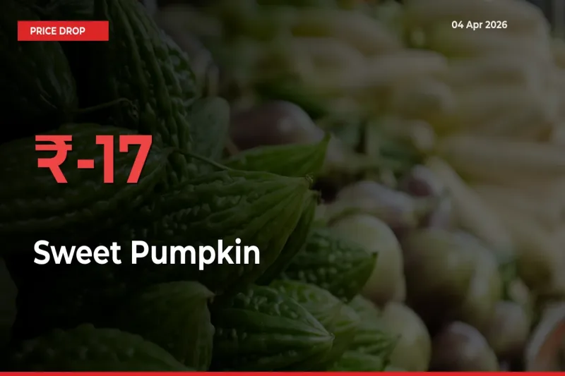 Farmers Alert as Sweet Pumpkin Prices Slide 16.94% in Local Mandis