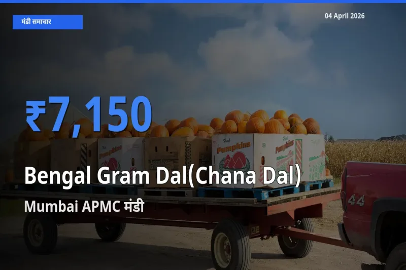 Mumbai APMC मंडी में चना दाल ₹7,150 पर पहुँचा – आज का सर्वोच्च भाव