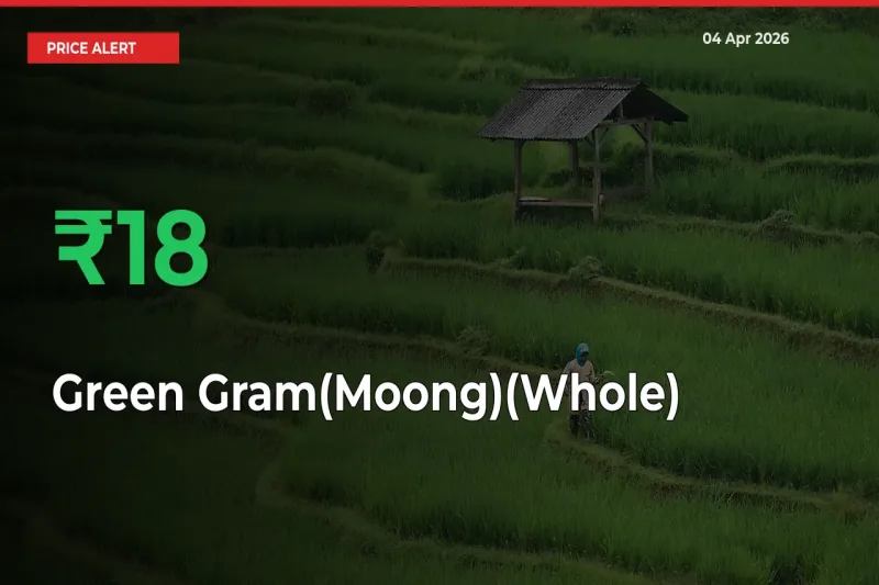 Why Green Gram(Moong)(Whole) Prices Rose 18.42% in a Day at Mandis
