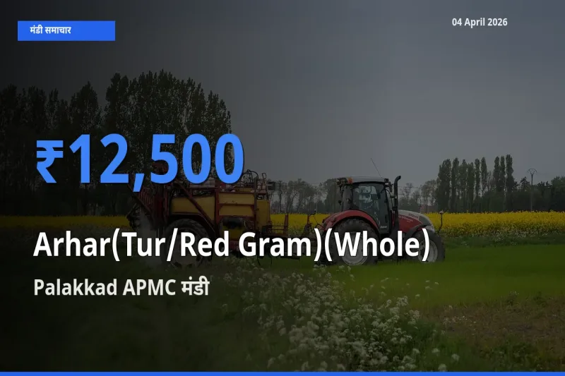 Palakkad APMC मंडी में आज अरहर (साबुत) के सबसे ऊँचे दाम दर्ज
