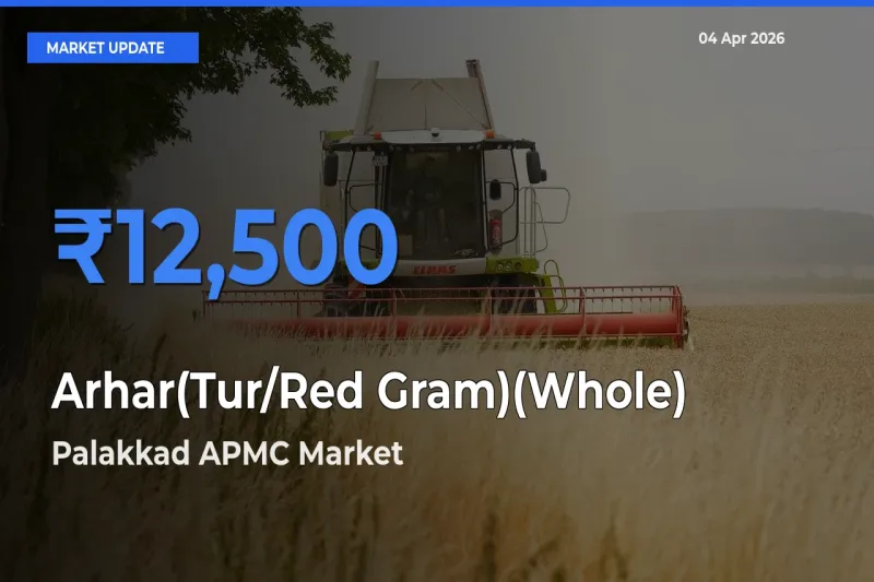 Market Watch: Palakkad APMC Becomes Top Mandi for Arhar(Tur/Red Gram)(Whole)